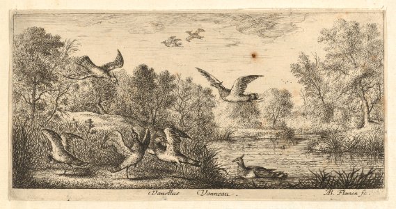 Book of Birds MET DP857000