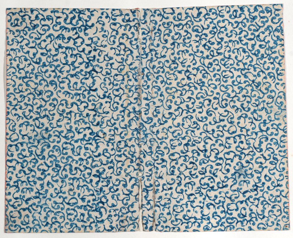 Book cover with blue curved line pattern Met DP887054