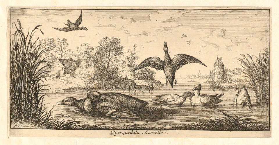 Book of Birds MET DP857001