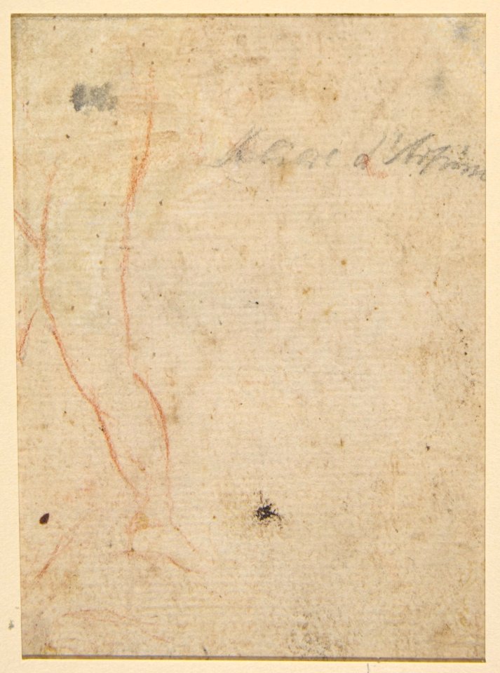 Bust of a Warrior Wearing a Plumed Helmet, Looking Toward Spectator Over His Right Shoulder (recto); Sketch of a Leg (verso) MET DP811289