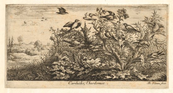 Book of Birds MET DP857008