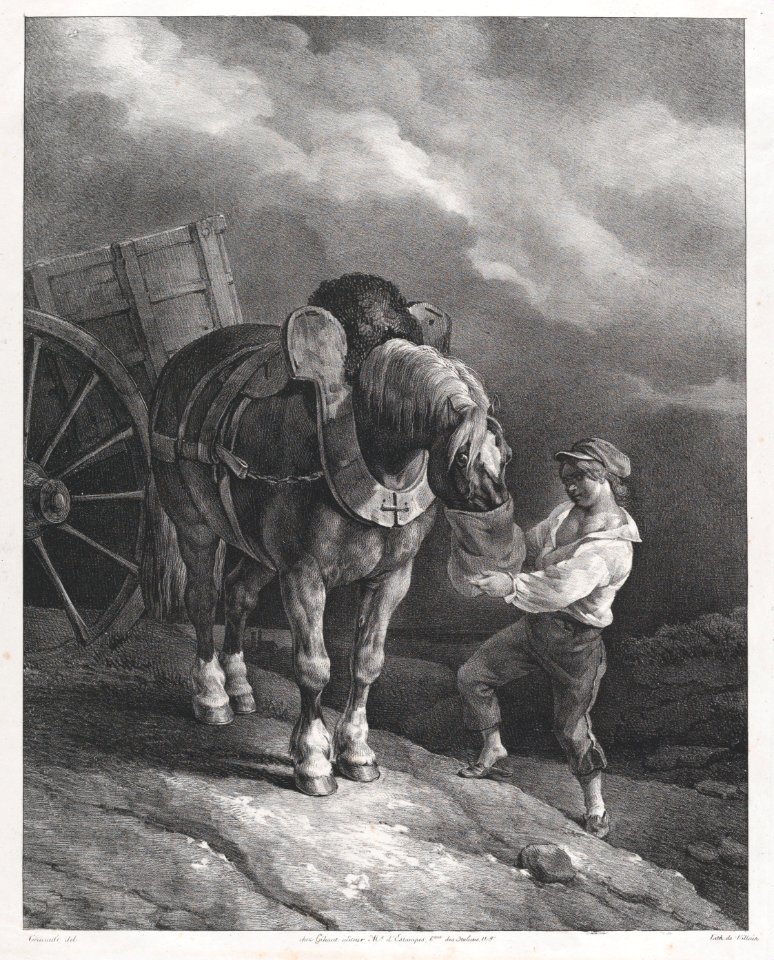 Boy Feeding a Cart Horse from a Nose Bag MET DP875696
