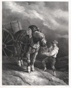 Boy Feeding a Cart Horse from a Nose Bag MET DP875696