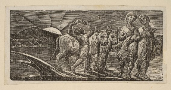 Boy Returning Joyfully, with Plough and Oxen, from Thornton's Pastorals of Virgil MET DP816573