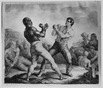 Boxers MET MM4501