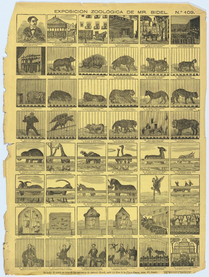 Broadside with 48 scenes depicting animals from Mr Bidel's zoo in Barcelona MET DP875781