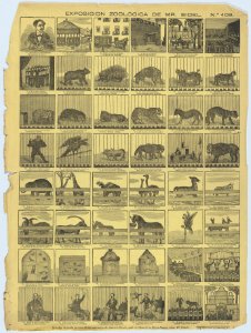 Broadside with 48 scenes depicting animals from Mr Bidel's zoo in Barcelona MET DP875781