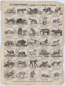 Broadside with 36 images of quadrupeds (animals) MET DP875725
