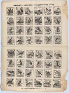 Broadside with 48 scenes of birds MET DP875626