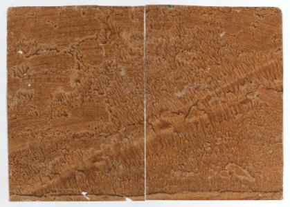 Brown paste paper book cover Met DP887158