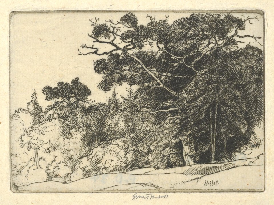 Brown's Oak MET DP845476