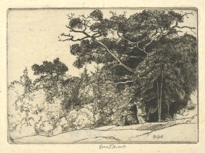 Brown's Oak MET DP845476