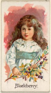 Blackberry, from the Fruits series (N12) for Allen & Ginter Cigarettes Brands MET DP834607