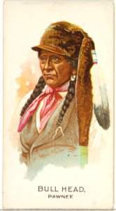 Bull Head, Pawnee, from the American Indian Chiefs series (N2) for Allen & Ginter Cigarettes Brands MET DP828014