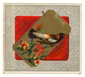 Bob-o-link, from the Birds of America series (N37) for Allen & Ginter Cigarettes MET DP838966