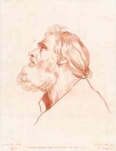 Bust Portrait of a Man with a Beard MET DP876447