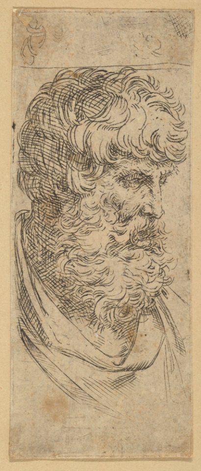 Bust of a bearded man MET DP837833