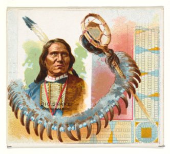 Big Snake, Winnebagoes, from the American Indian Chiefs series (N36) for Allen & Ginter Cigarettes MET DP838952