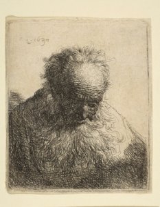 Bust of an Old Man with a Flowing Beard- the Head Bowed Forward- Left Shoulder Unshaded MET DP814384