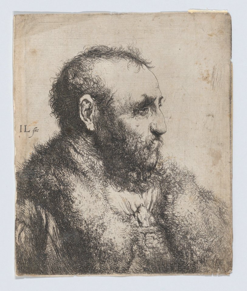 Bust of an Old Man with a Fur Collar MET DP872915