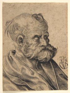 Bust of a Bearded Old Man MET DP802926
