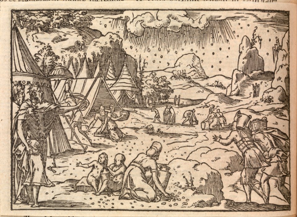Biblia Sacra. . .Lugduni MET DP375026