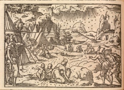 Biblia Sacra. . .Lugduni MET DP375026