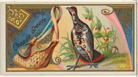 Canada Grouse, from the Game Birds series (N13) for Allen & Ginter Cigarettes Brands MET DP834666