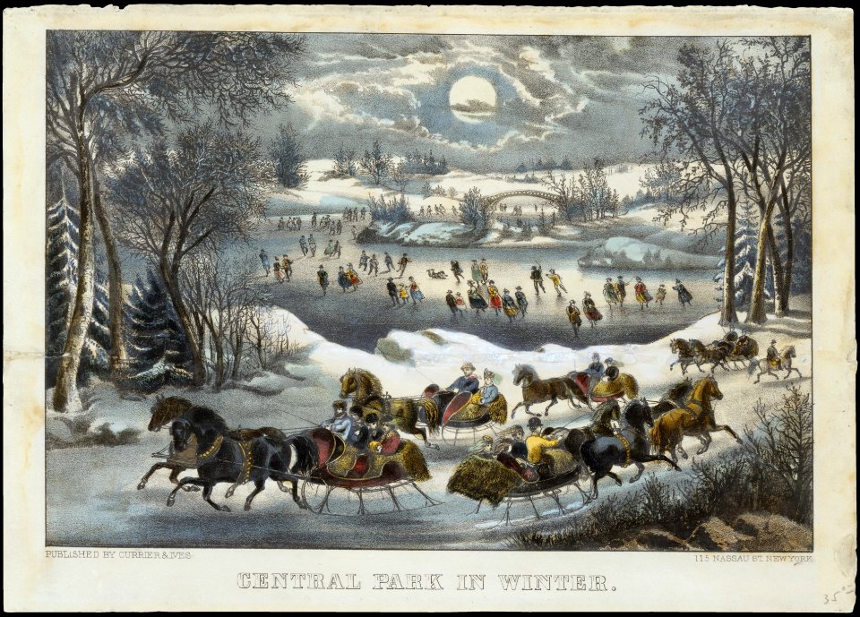 Central Park in Winter MET DT5229