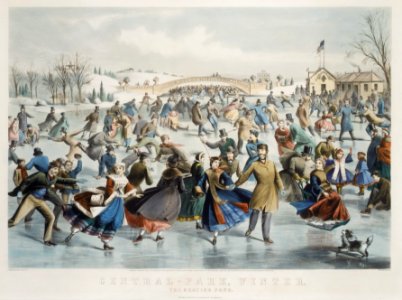 Central Park, Winter – The Skating Pond MET DR181