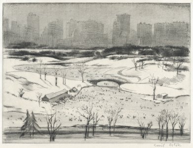 Central Park, the Lake in Winter MET DP876253