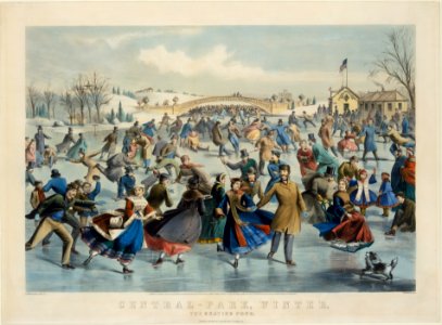 Central Park, Winter – The Skating Pond MET DT2034