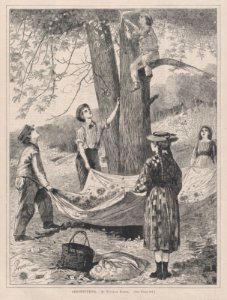 Chestnutting – By Winslow Homer (Every Saturday, Vol. I, New Series) MET DP875244