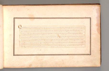 Calligraphic Excersize in Latin (Cursive Script) MET DP-12235-018