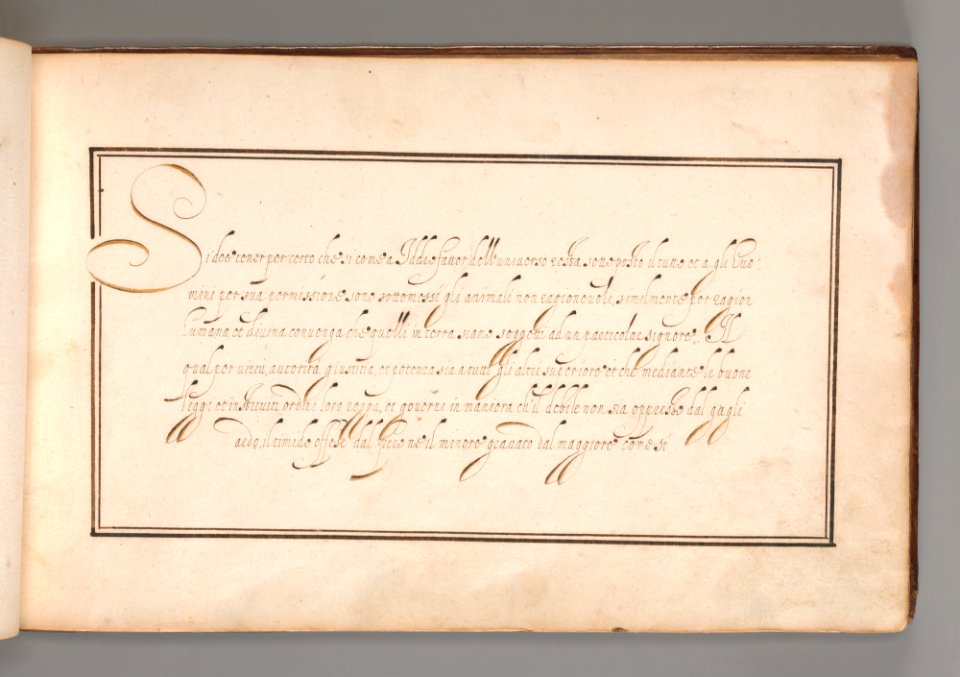 Calligraphic Excersize in Italian (Cursive Script) MET DP-12235-022