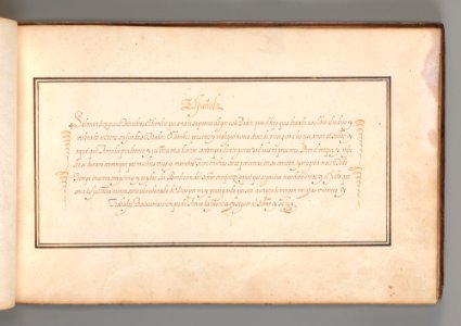 Calligraphic Excersize in Spanish MET DP-12235-031