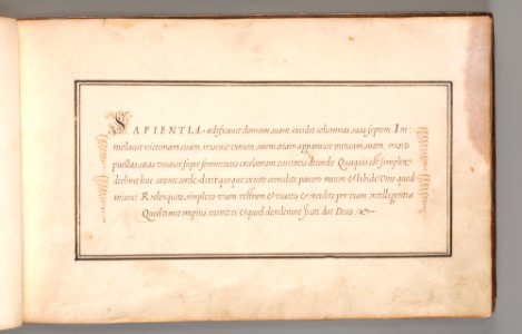 Calligraphic Excersize in Latin (Cursive Script) MET DP-12235-017