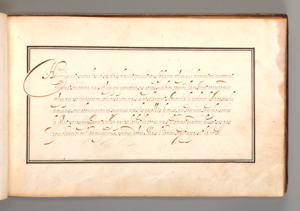 Calligraphic Excersize in French (Cursive Script) MET DP-12235-024