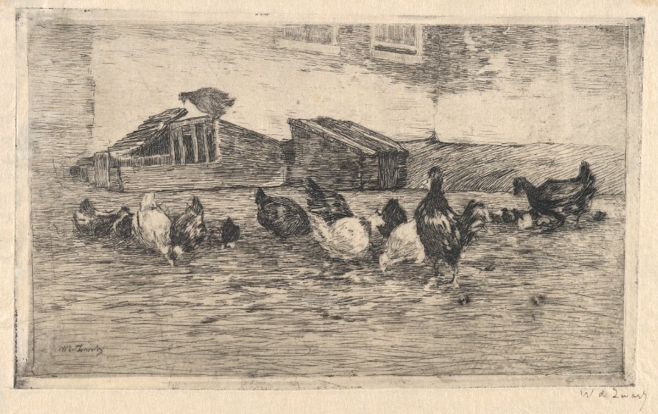 Chickens and Coops MET DP876322