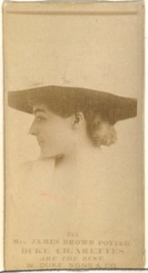 Card Number 253, Mrs. James Brown Potter, from the Actors and Actresses series (N145-7) issued by Duke Sons & Co. to promote Duke Cigarettes MET DP840482