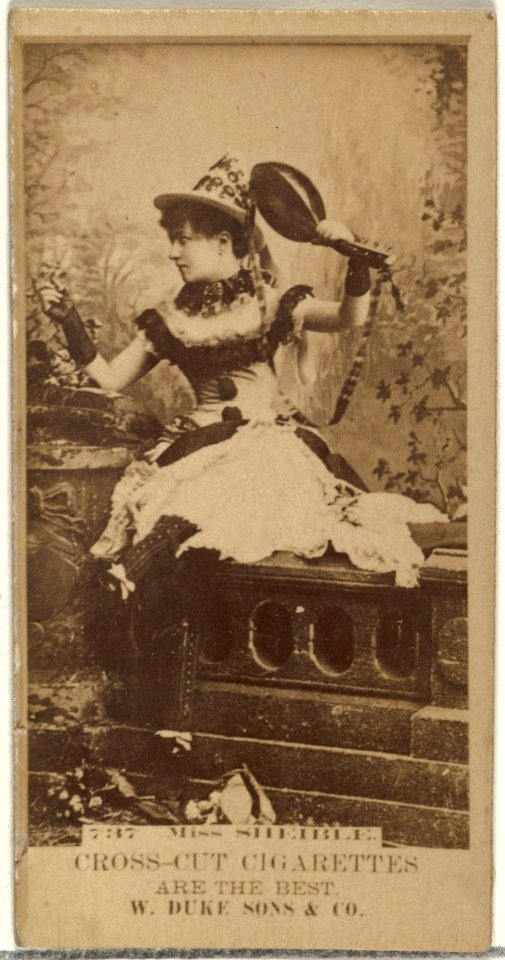 Card Number 737, Miss Sheible, from the Actors and Actresses series (N145-3) issued by Duke Sons & Co. to promote Cross Cut Cigarettes MET DP839830