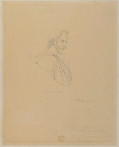 Classical Bust of a Bearded Male Seen in Profile MET 87.12.173