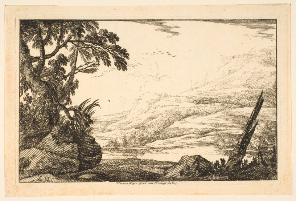 Clump of Trees MET DP817104