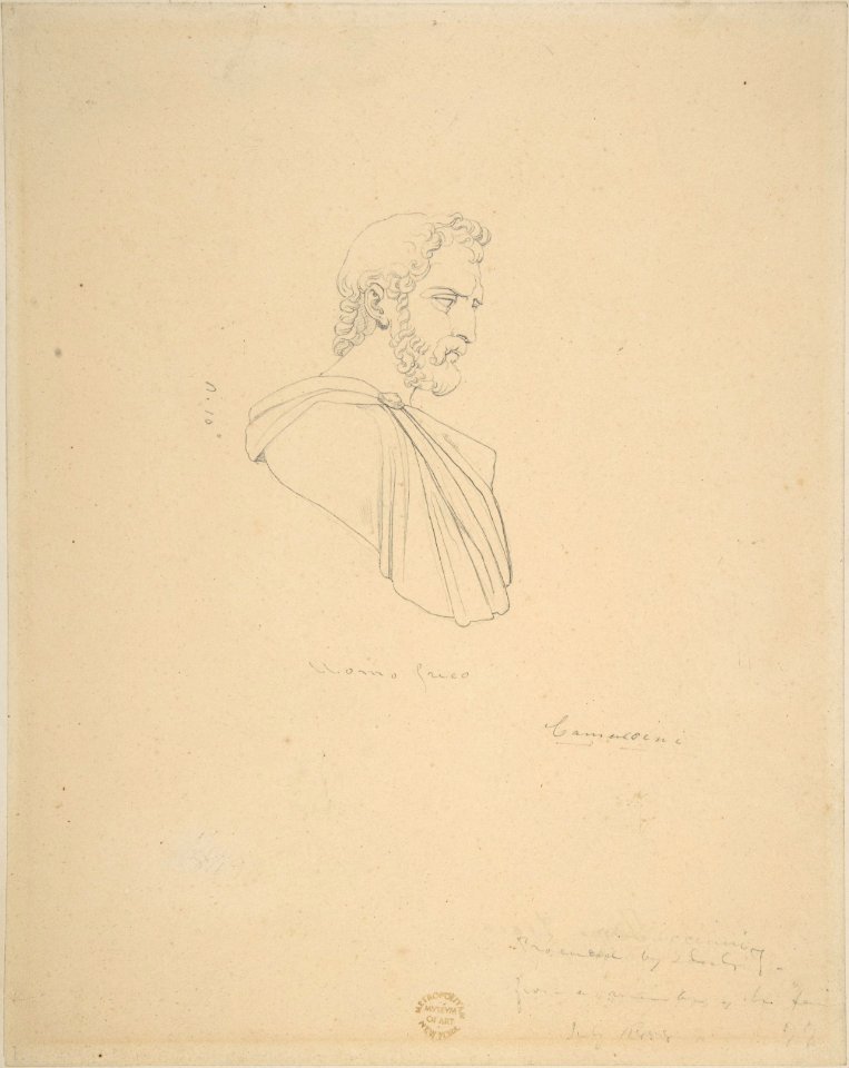 Classical Bust of a Bearded Male Seen in Profile MET DP808059