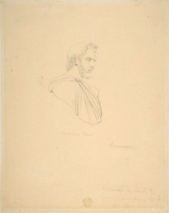 Classical Bust of a Bearded Male Seen in Profile MET DP808059