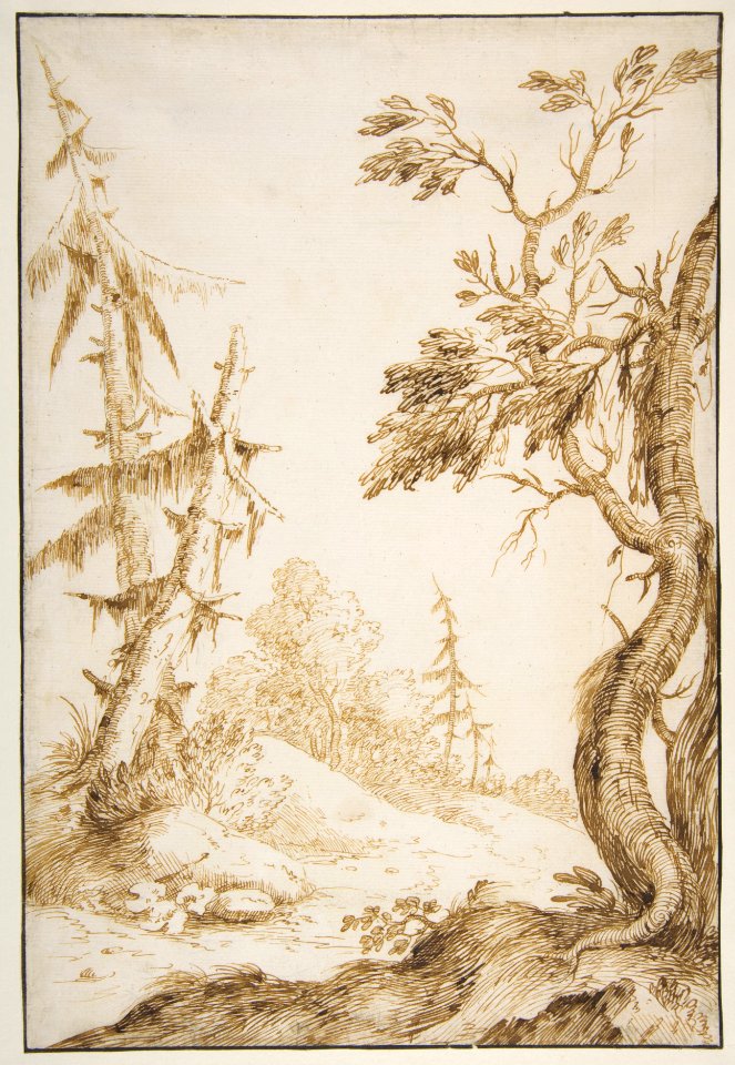 Clearing in a Wooded Landscape MET DP811360