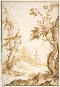 Clearing in a Wooded Landscape MET DP811360