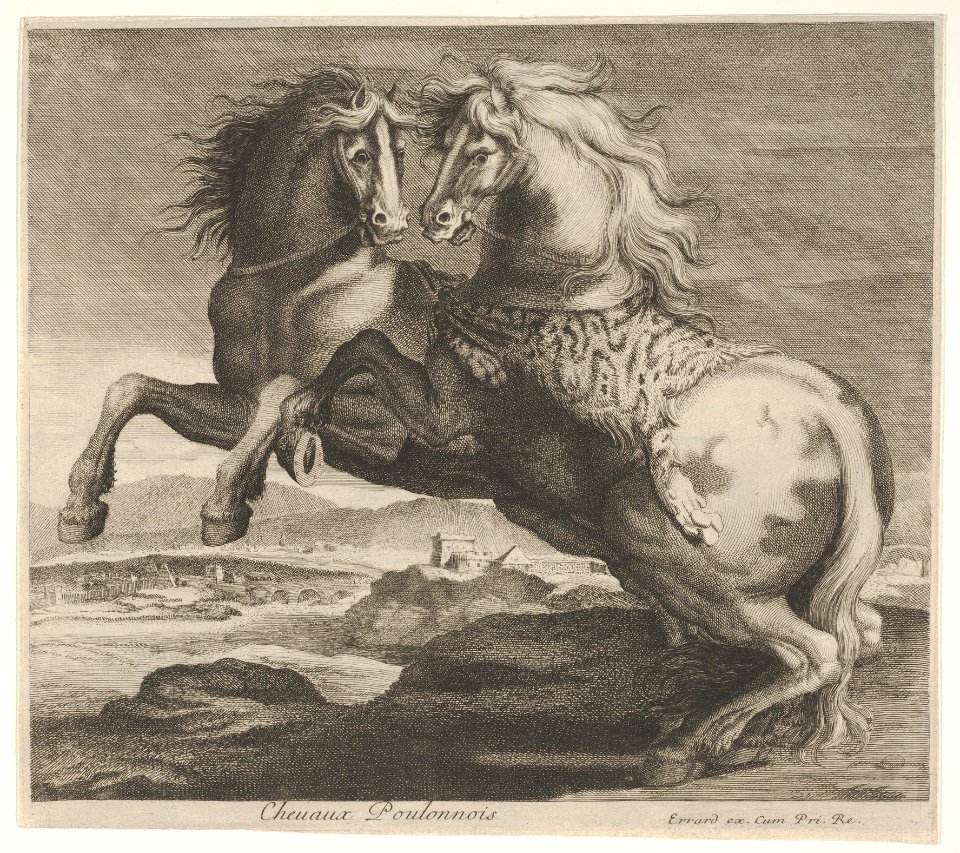 Chevaux Poulonnois MET DP832461