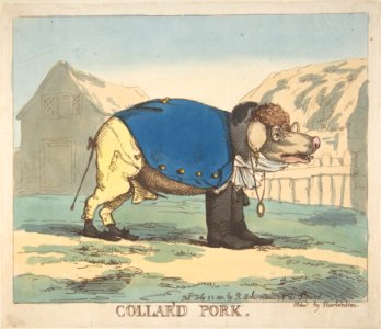 Collar'd Pork MET DP808244