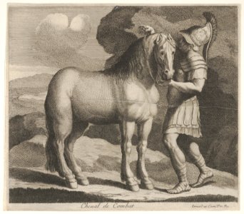 Cheval de Combat MET DP832466